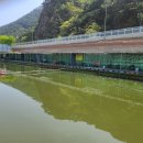 무태낚시터 이미지