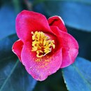 정거마을 이미지