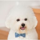 퍼스트동물병원 이미지