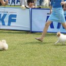 안성연수원 이미지