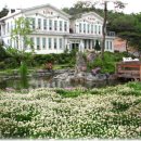 언덕위에하얀집 이미지