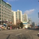 청솔(171) 이미지