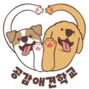 공감애견학교 이미지