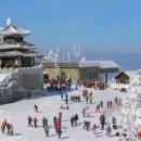 매일온천탕 이미지