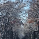 최진이 번역 일반행정사 사무소 이미지