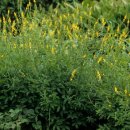 선학초등학교 이미지