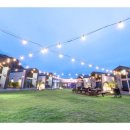 제주도 스테이블 이미지