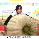 호박 이미지