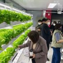 스마트팜 이미지