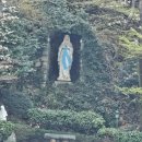 중원동로 이미지