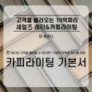 단도투자일임 | [ 고객을 불러오는 10억짜리 세일즈 레터&카피라이팅 : 댄 케네디 ]