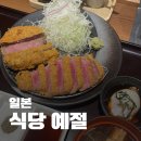 쥬덴 | 일본 여행 돼지코 필수일까? 고데기 안 켜지는 진짜 이유와 필수 준비물 완벽 정리