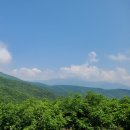 점봉산 민박 | 점봉산(강원도 인제)~점봉산 등산코스, 곰배령 야생화