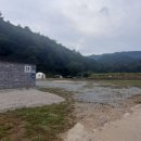 모곡낚시터 이미지