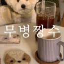 무병짱수 이미지