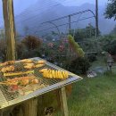 아름애견 이미지