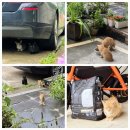 추암행복펜션 이미지