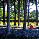 태화강 철새공원 이미지