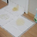 복만네 주식회사 | 도그토토 해피루 프리미엄 강아지 자동배변판 사용후기