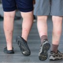 그늘막69 이미지