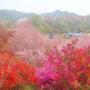 완산공원(정상) 이미지