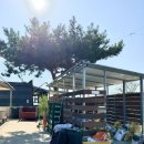 갯벌 | 경남 사천 캠핑장 추천 솔섬오토캠핑장 명당 예약 갯벌 B4 사이트 후기