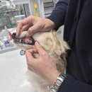 동감동물의료센터 이미지