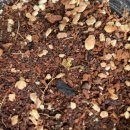 뿌리민박 이미지