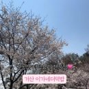 거산 이가네더덕밥 이미지