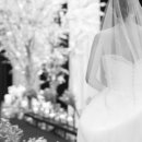 자주마리 이미지