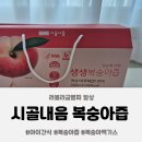 복숭아99% 시골내음 생생복숭아즙 아이들간식 건강간식 추천