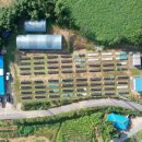 인양양초장 이미지