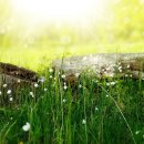 손해평가사 1차 - 농어업재해보험법령 및 손해평가요령 이미지