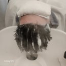 행복한수학전문학원 | 공덕역미용실 남성 헤드스파컷 지성두피 냄새 고민 두피 딥클렌징으로 해결