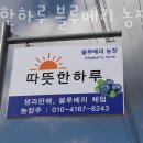 율곡길 | 블루베리체험 따뜻한하루 블루베리 농장 강원도당일치기 블루베리체험농장 위치 예약 비용 정보