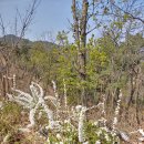 곰재농장 이미지