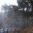 만기사 - 1147 | 만기사