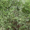 지구농장 이미지