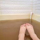 증도해뜨는 이미지