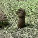 250524 &#39;여신님이 보고계셔&#39; 대구 첫공 관람 후기 / 대구문화예술회관 / 대구뮤지컬 / 대구 놀거리...