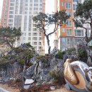 장당공인중개사사무소 네이버블로그