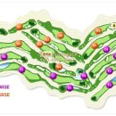 비젼힐스 이미지