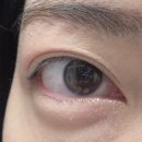 타파웨어 스튜디오 인천석남점 | [인천]아이쁠리_석남동속눈썹 연장 추천