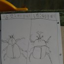 세밀화 그리기 이미지