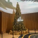 워너짐 장전 | [해리포터 스튜디오 도쿄] 방문 후기(2023. 12. 29.)