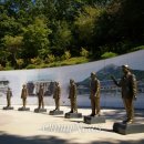 개뼈다구 이미지