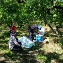 도담도담농장 이미지