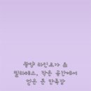 불로로 | 광양 라인요가 &amp; 필라테스, 작은 공간에서 얻은 큰 만족감
