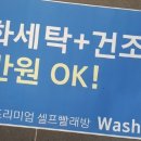 죽림세탁 이미지