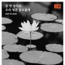 갤러리단정 뉴스핌
